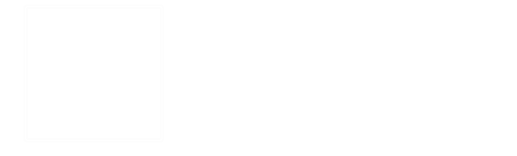 light logo